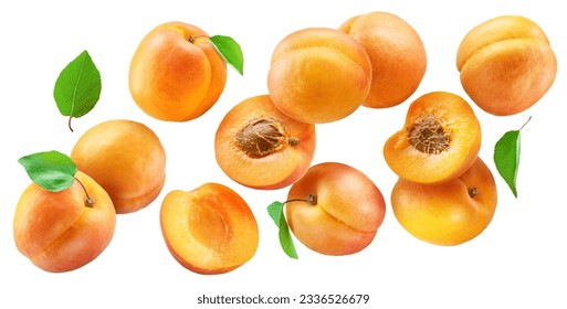 Ripe apricots and apricot halves flying in air on white background. File contains clipping path.