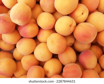 Ripe apricots fruit ecological food background