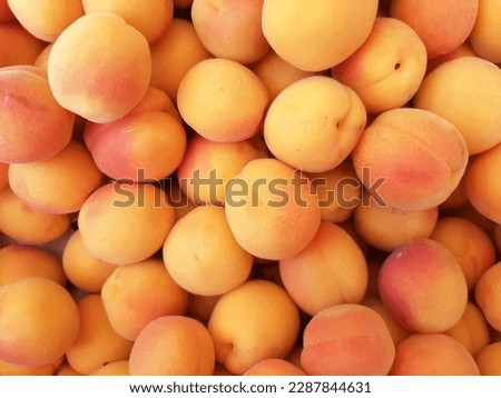 Ripe apricots fruit ecological food background