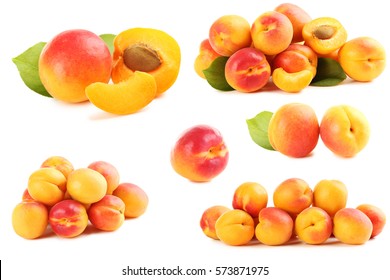 Ripe Apricots Fruit Isolated On A White