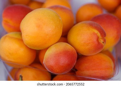 Ripe Apricots In A Plastic Container. The Concept Of Fortification.