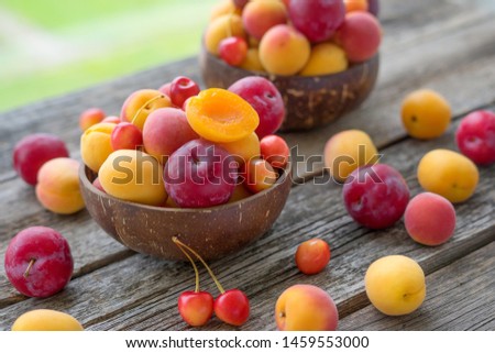 Ripe apricots, plums and cherries in bowl on rustic wooden table	