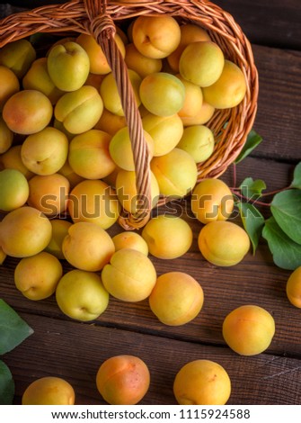 Similar – Image, Stock Photo Ripe apricots Fruit