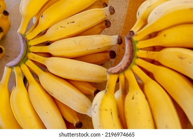 Ripe Banana Bunches Exposed In Outdoor Market Stall. Brazil