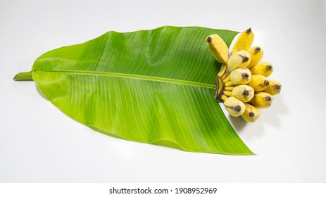 Ripe Banana Placed In Front Of Half Cut Banana Leaf. Local Name Bangla Kola. Top View Stdio Shoot.