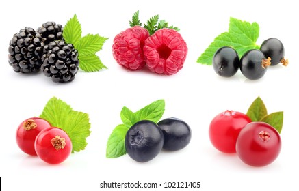 Ripe berries in closeup