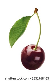 Ripe Black Cherry With Leaf