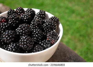 Ripe Blackberries In White Plate With Long Shadows On Table. Fruit On A Table Close Up