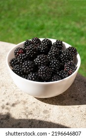 Ripe Blackberries In White Plate With Long Shadows On Table. Fruit On A Table Close Up