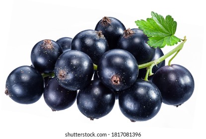 Ripe Blackcurrant Branch With Green Leaf On The White Background. Macro Shot.