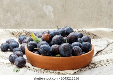 ripe blue plums in a clay bowl. Autumn harvest of plums. Selective focus - Powered by Shutterstock