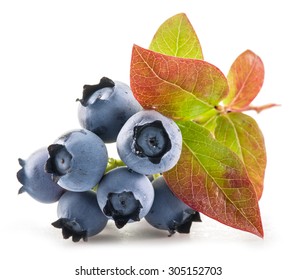 Ripe blueberries on the white background.
