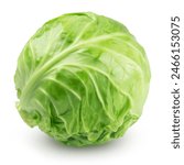 Ripe cabbage isolated on a white background.