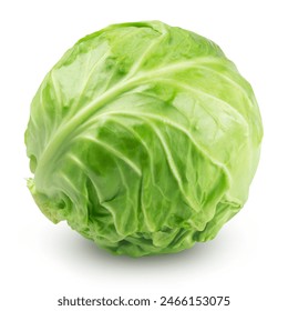 Ripe cabbage isolated on a white background.
