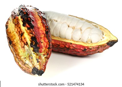 Ripe Cacao Fruit Isolated On White Background