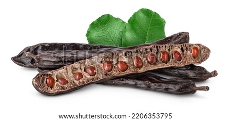Ripe carob pods and bean isolated on white background with full depth of field