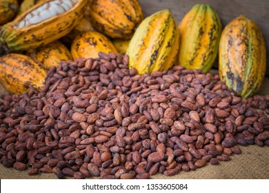 Ripe cocoa pod and beans setup on rustic wooden background.