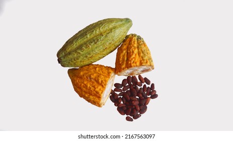 Ripe cocoa pods are yellow green which are split open, isolated on white background and the seeds are visible. Cocoa (Theobroma cacao L.) is a cultivated tree in plantations