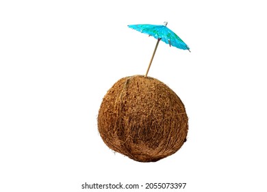 A Ripe Coconut With A Cocktail Umbrella Suggesting Making A Tropical Drink Like A Pina Colada Isolated On White