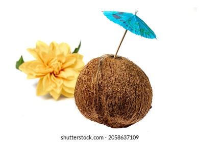 A Ripe Coconut With A Yellow Flower And A Cocktail Umbrella Suggesting Making A Tropical Drink Like A Pina Colada Isolated On White