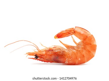 Alive Prawn Images, Stock Photos & Vectors | Shutterstock