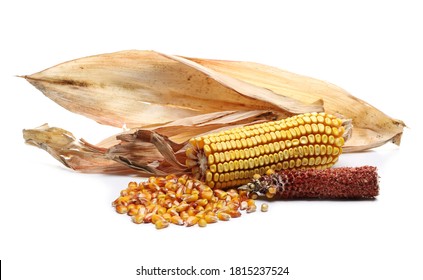 Ripe Corn Cob With Dry Husk, Leaves And Kernels Pile Isolated On White Background