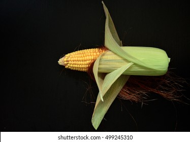 Ripe Corn Cob On A Black Background. View From Above