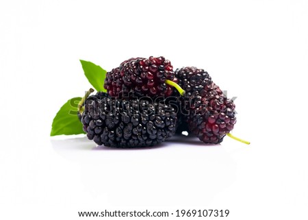 Ripe and delicious  black mulberry on white background. 