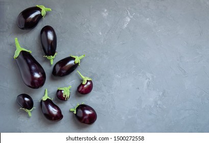 Ripe eggplants of different sizes on a gray concrete background. Top view.