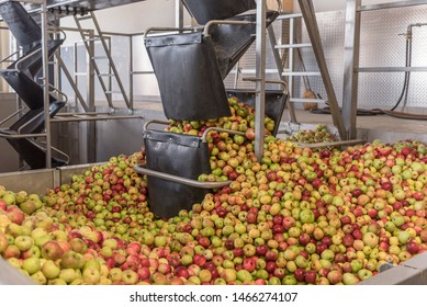 Ripe Fall Apples In A Container, Ready To Squeeze Apple Juice