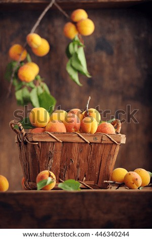 Similar – Image, Stock Photo Ripe apricots Fruit