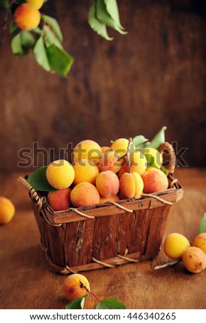 Similar – Image, Stock Photo Ripe apricots Fruit