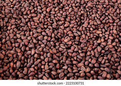 Ripe fresh brown pine nuts in the shell as a background. View from above. Cedrus, Pinaceae. - Shutterstock ID 2223100731