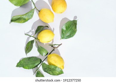 Ripe fresh Sicilian lemons with green leaves on white background with copy space for grafic design. Organic citrus fruits with bright sunlight. Healthy food concept, horisontal format
