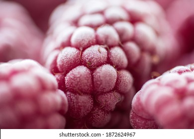 Ripe frozen raspberries close-up macro photography, selective focus, fruit background. - Powered by Shutterstock