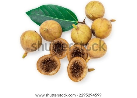 Ripe fruit Ficus Racemosa, fig or cluster fig. Fig isolated on white background