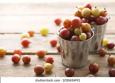 Ripe gooseberries fruit in buckets on grey wooden table