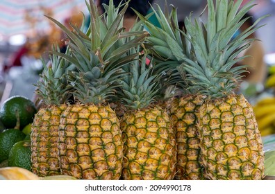 Ripe Hawaiian Pineapples for sale at the Farmers Market in Hilo, Hawaii