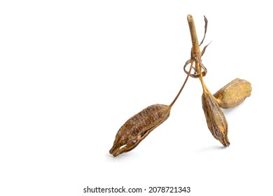 Ripe iris seeds. Scattered on the surface of the table. Space for text. Concept: garden and vegetable garden products, advertising, biology, website design and social networks.  - Shutterstock ID 2078721343