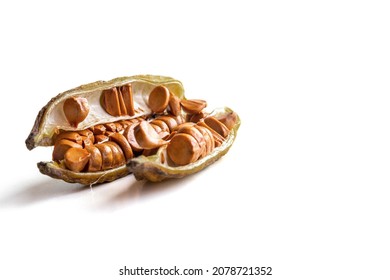 Ripe iris seeds. Scattered on the surface of the table. Space for text. Concept: garden and vegetable garden products, advertising, biology, website design and social networks.  - Shutterstock ID 2078721352