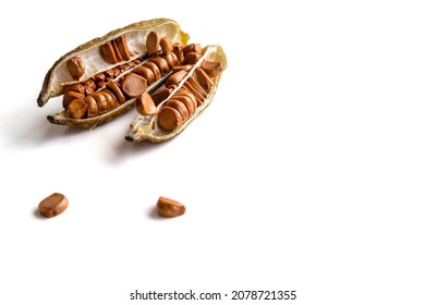 Ripe iris seeds. Scattered on the surface of the table. Space for text. Concept: garden and vegetable garden products, advertising, biology, website design and social networks.  - Shutterstock ID 2078721355