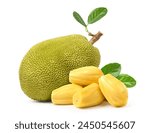 Ripe Jackfruit with bulbs isolated on white background. 