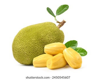 Ripe Jackfruit with bulbs isolated on white background. 