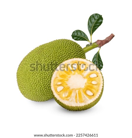 Ripe Jackfruit isolated on white background