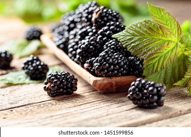 vapaa dating site BlackBerry käyttäjille merkkejä olet dating joku ahdistuneisuus