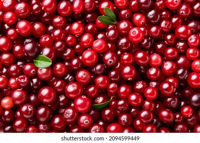 Ripe juicy cranberries as background