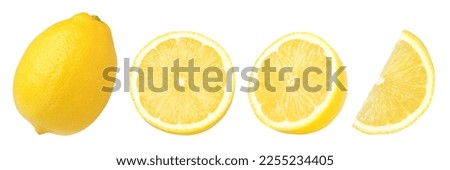 ripe lemon fruit, half and slice lemon isolated, Fresh and Juicy Lemon, collection, cut out	