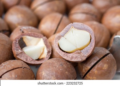 Ripe macadamia nuts closeup. Small Depth of Field (DOF)