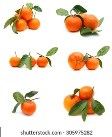 Ripe Mandarin Citrus Isolated Tangerine Mandarine Orange On White Background. 