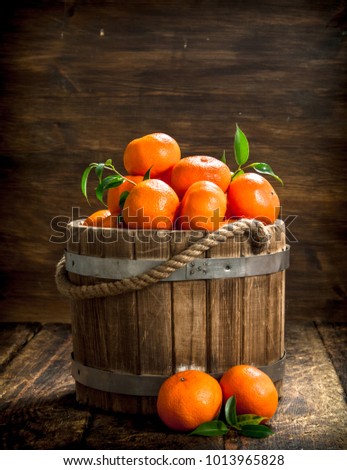 Similar – Image, Stock Photo Yellow and orange fruit and vegetables around white plate